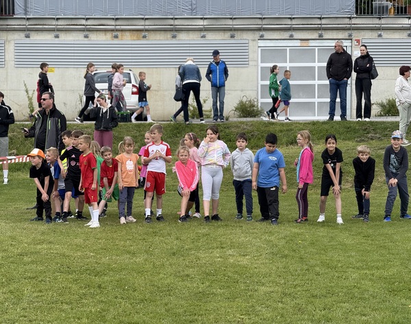 VS Frohnleiten - Spendenlauf 